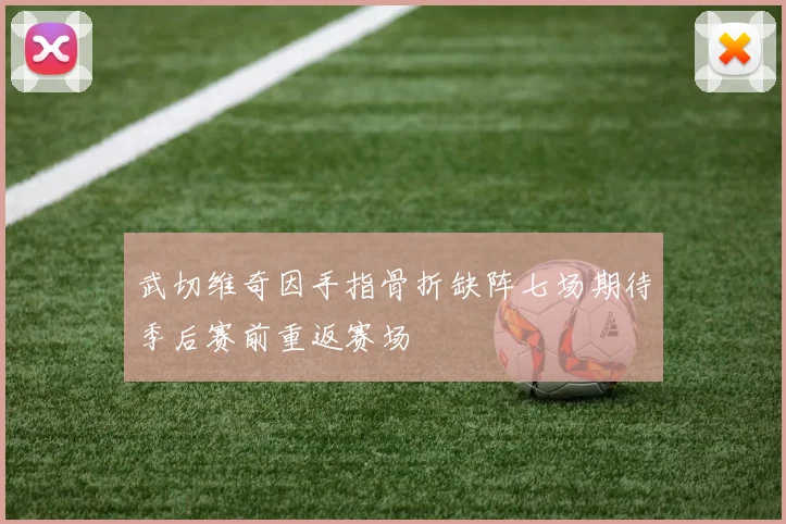武切维奇因手指骨折缺阵七场期待季后赛前重返赛场