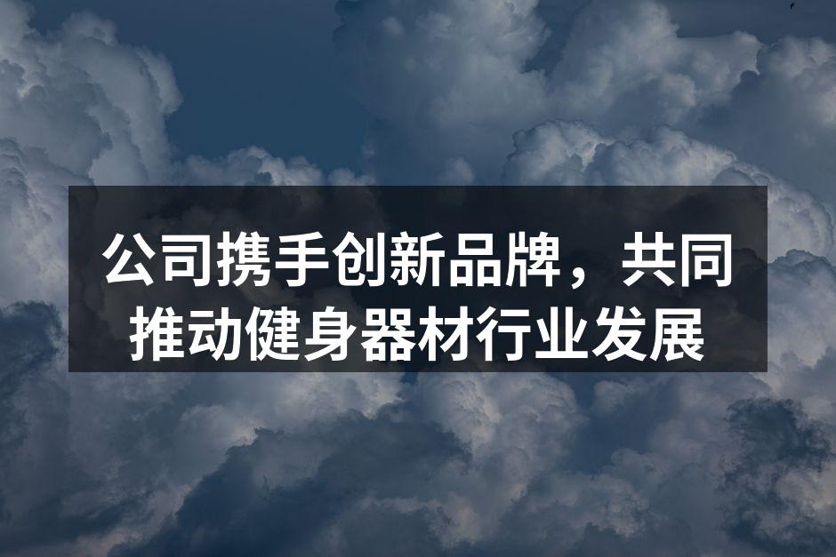 公司与品牌合作签约仪式