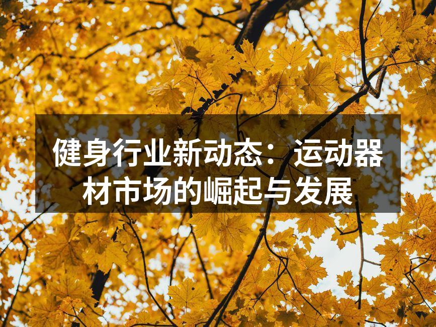 运动器材市场正在快速成长