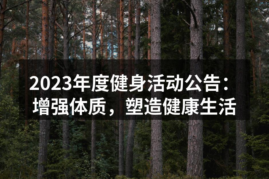 参与者积极投入健身活动