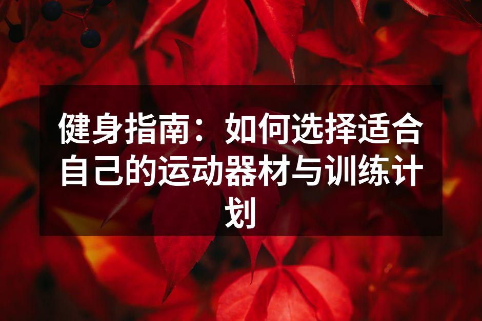 多样化的运动器材选择