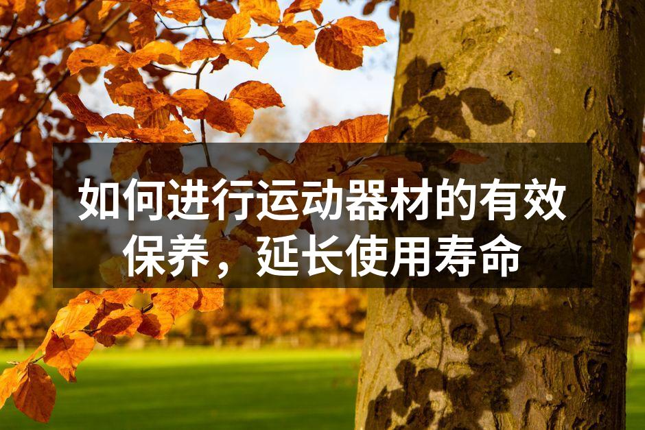 定期清洁跑步机,延长使用寿命