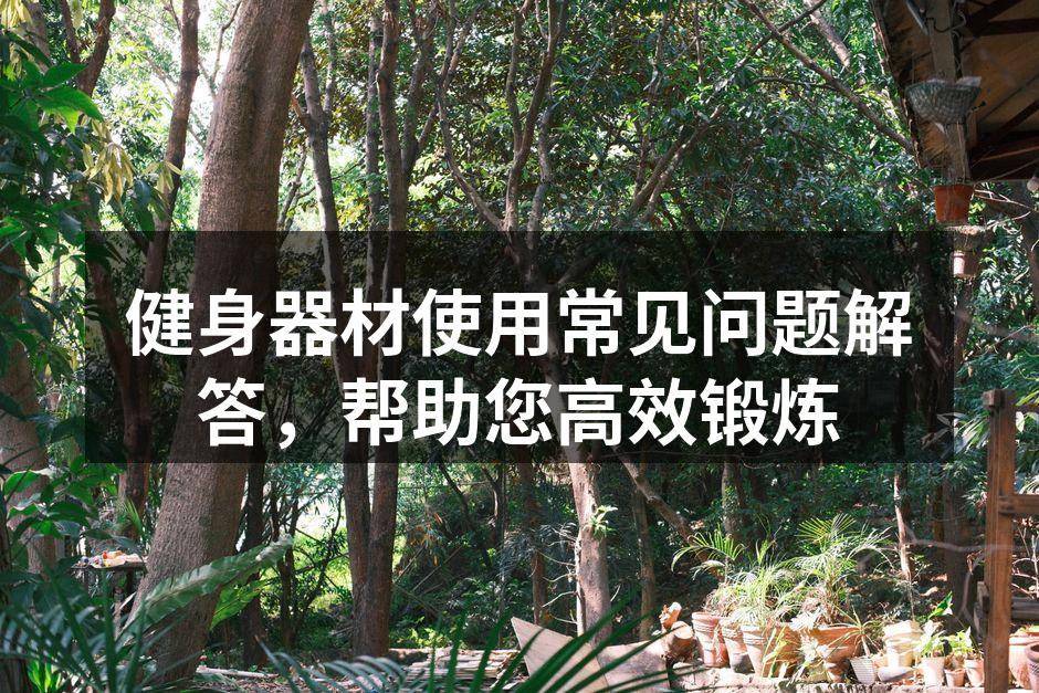 多功能健身器材，适合家庭锻炼使用