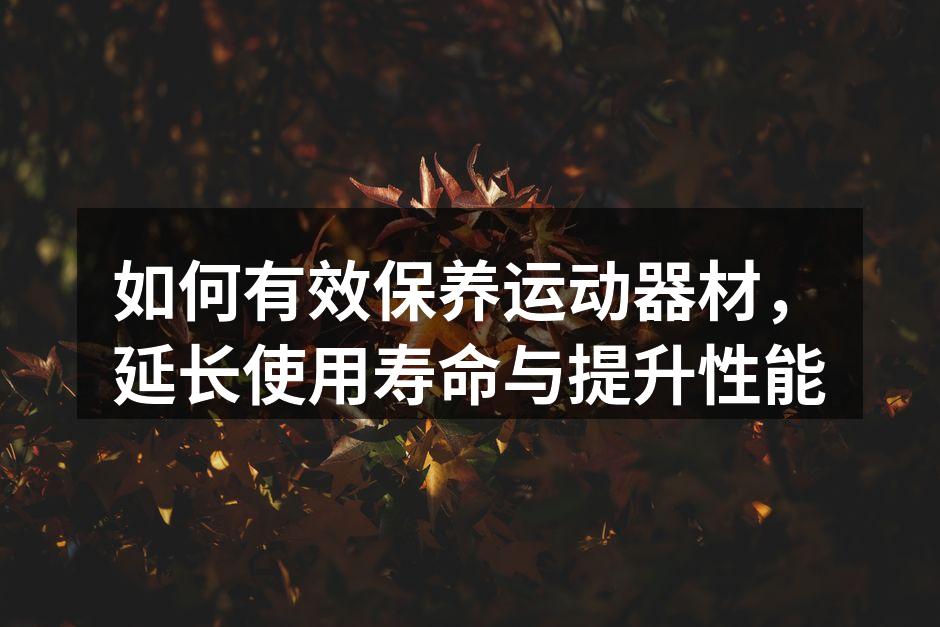 运动器材保养是确保安全的重要步骤