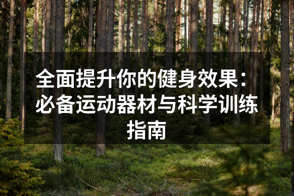多样化的运动器材选择